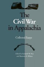 The Civil War in Appalachia: Collected Essays