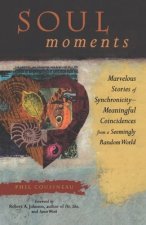 Soul Moments: Marvelous Stories of Synchronicitymeaningful Coincidences from a Seemingly Random World