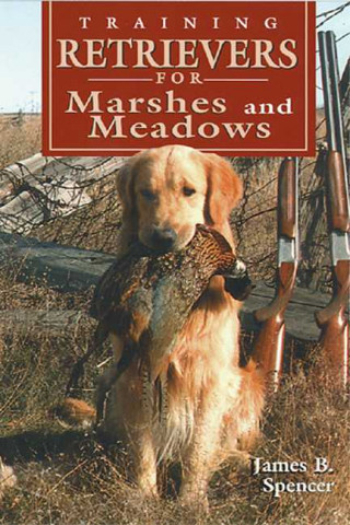 Training Retrievers for Marshes and Meadows