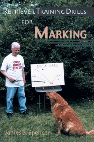 Retriever Training Drills for Marking