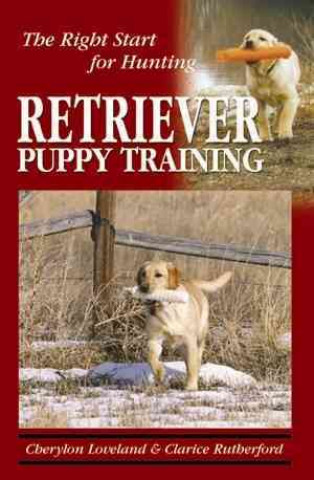 Retriever Puppy Training: The Right Start for Hunting