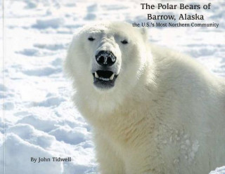 The Polar Bears of Barrow, Alaska: The U.S.'s Most Northern Community