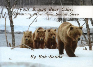 Four Brown Bear Cubs: Returning After Their Winter Sleep