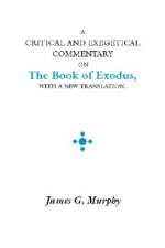 A Critical and Exegetical Commentary on the Book of Exodus: With a New Translation