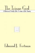 The Triune God: A Historical Study of the Doctrine of the Trinity
