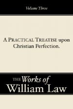 Practical Treatise upon Christian Perfection, Volume 3