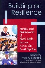 Building on Resilience: Models and Frameworks of Black Male Success Across the P-20 Pipeline