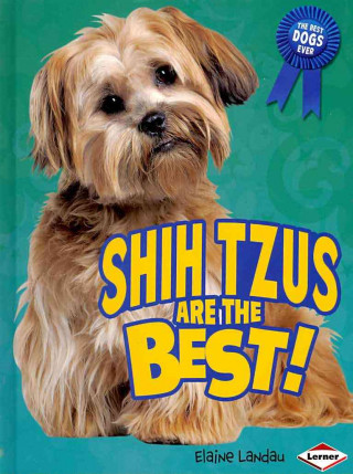 Shih Tzus Are the Best!