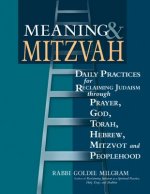 Meaning and Mitzvah