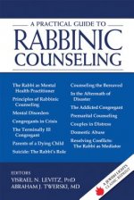 Practical Guide to Rabbinic Counseling