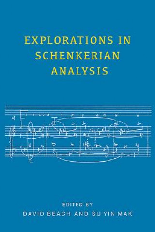 Explorations in Schenkerian Analysis