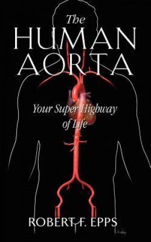 The Human Aorta: Your Super Highway of Life
