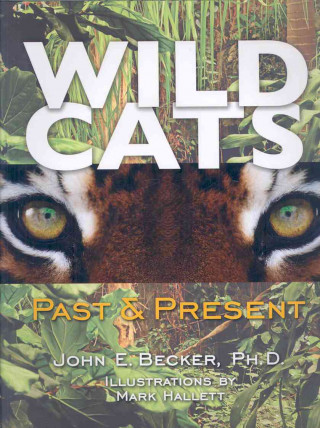 Wild Cats: Past & Present