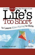 Life's Too Short to Leave Kite Flying to Kids: A Little Look at the Big Things of Life for Busy Grownups