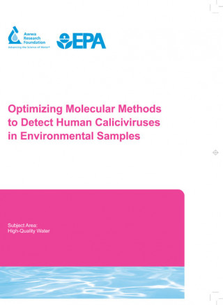 Optimizing Molecular Methods to Detect Human Caliciviruses in Environmental Samples