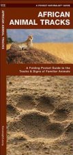 African Animal Tracks: An Introduction to the Tracks & Signs of Familiar Species
