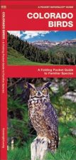 Colorado Birds: A Folding Pocket Guide to Familiar Species