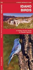 Idaho Birds