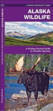 Alaska Wildlife: A Folding Pocket Guide to Familiar Species