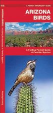 Arizona Birds: A Folding Pocket Guide to Familiar Species