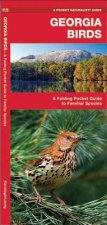 Georgia Birds: An Introduction to Familiar Species