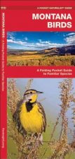 Montana Birds: A Folding Pocket Guide to Familiar Species