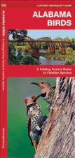 Alabama Birds: An Introduction to Familiar Species