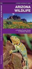 Arizona Wildlife: A Folding Pocket Guide to Familiar Species