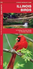 Illinois Birds: An Introduction to Familiar Species