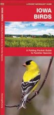 Iowa Birds