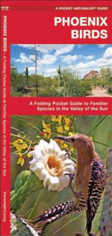 Phoenix Birds: An Introduction to Familiar Species in the Valley of the Sun