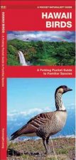 Hawaii Birds: An Introduction to Familiar Species
