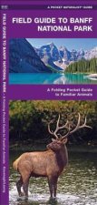 Field Guide to Banff National Park