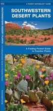Southwestern Desert Plants