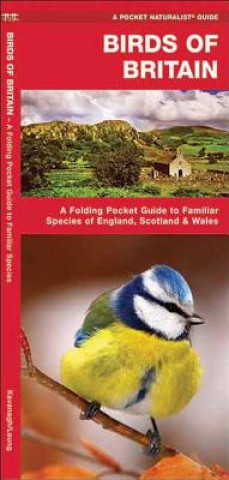 Birds of Britain: A Folding Pocket Guide to Familiar Species of England, Scotland & Wales