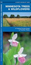 Minnesota Trees & Wildflowers: An Introduction to Familiar Species