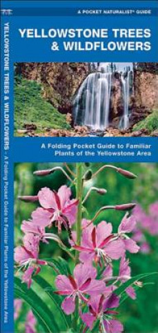 Yellowstone Trees & Wildflowers: An Introduction to Familiar Species of the Yellowstone Area