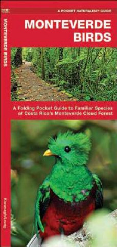 Monteverde Birds: An Introduction to Familiar Species in Costa Rica's Monteverde Region