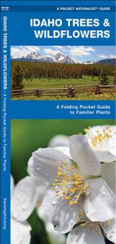 Idaho Trees & Wildflowers: An Introduction to Familiar Species