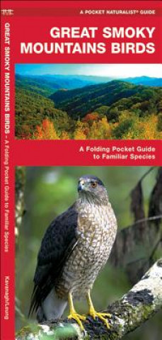 Great Smoky Mountain Birds: An Introduction to Familiar Species