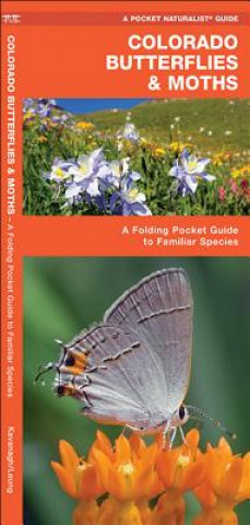 Colorado Butterflies & Moths: An Introduction to Familiar Species