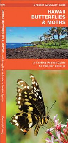 Hawaii Butterflies & Moths: An Introduction to Familiar Species