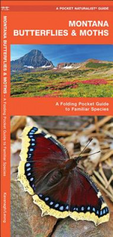 Montana Butterflies & Moths: An Introduction to Familiar Species