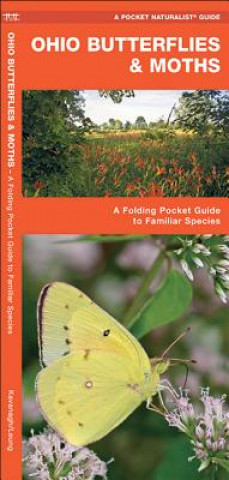 Ohio Butterflies & Moths: An Introduction to Familiar Species