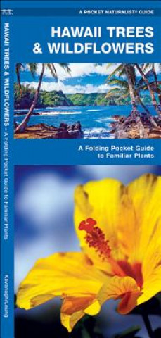Hawaii Trees & Wildflowers: An Introduction to Familiar Species