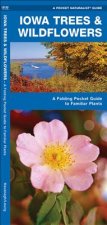 Iowa Trees & Wildflowers: An Introduction to Familiar Species