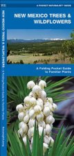 New Mexico Trees & Wildflowers: An Introduction to Familiar Species
