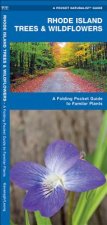 Rhode Island Trees & Wildflowers: An Introduction to Familiar Species