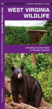 West Virginia Wildlife: An Introduction to Familiar Species
