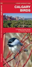 Calgary Birds: An Introduction to Familiar Species